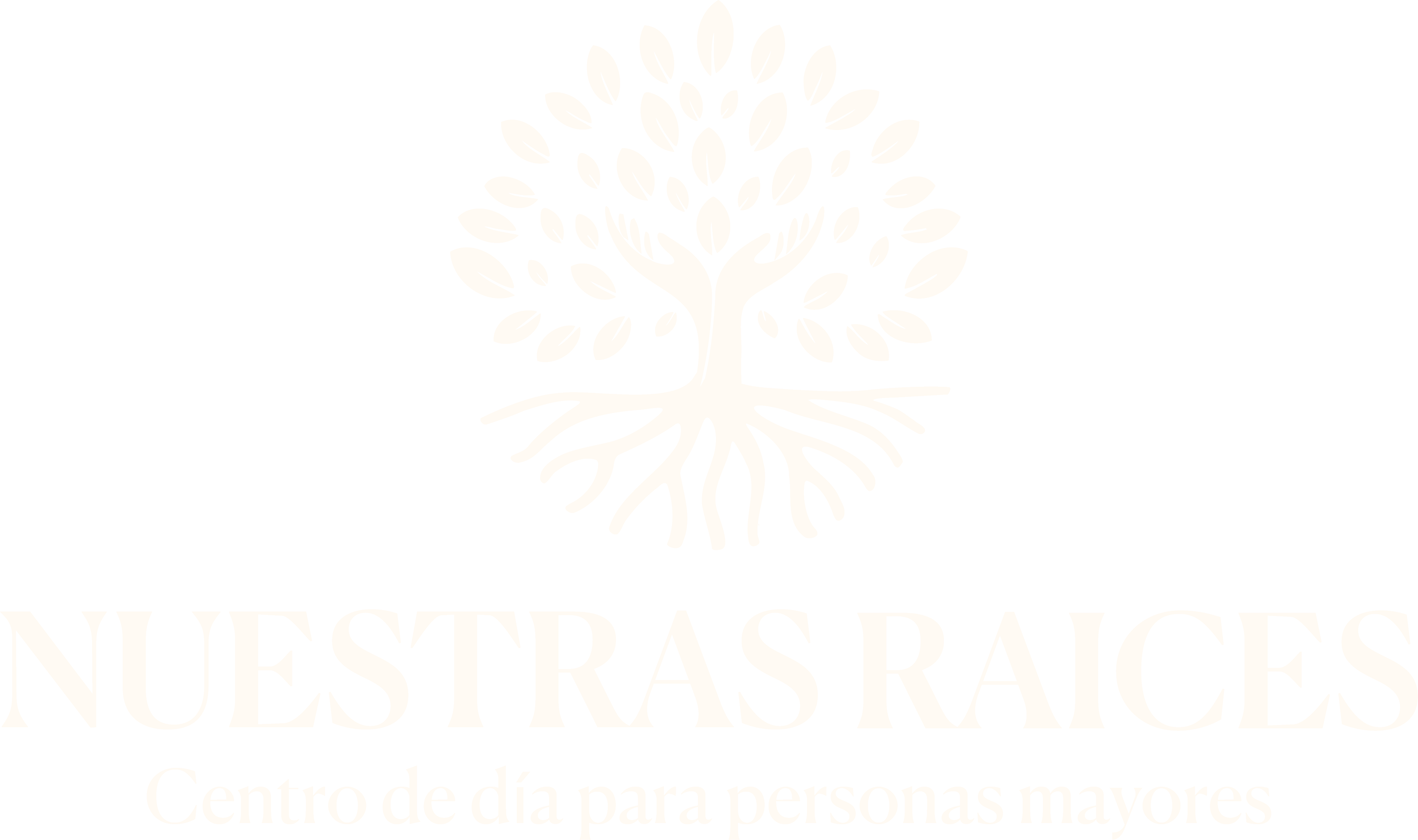Nuestras Raíces — centro de día en Maipú